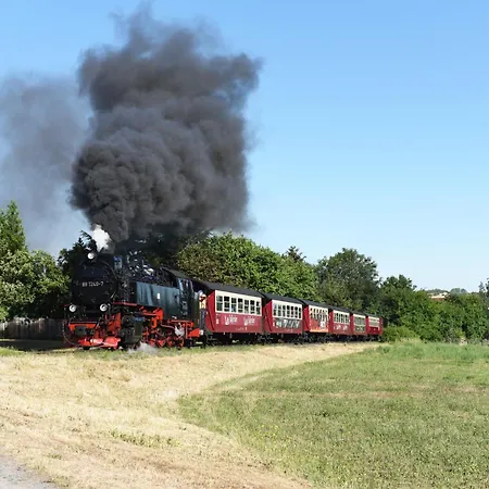 Am Osterteich * Gernrode (Saxony-Anhalt)