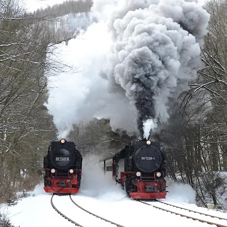 Am Osterteich Gernrode (Saxony-Anhalt)