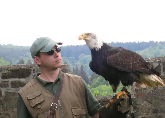 Am Osterteich Semesterbostad Gernrode (Saxony-Anhalt)