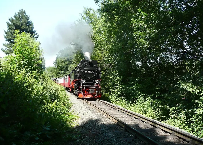 Am Osterteich Semesterbostad Gernrode (Saxony-Anhalt)