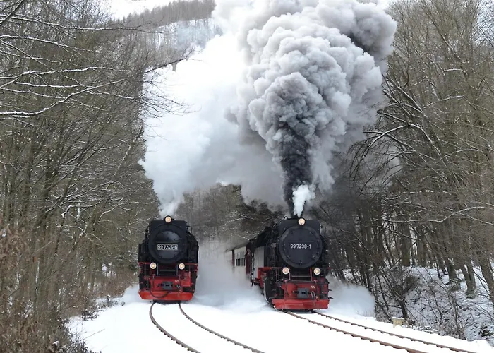 Am Osterteich Gernrode (Saxony-Anhalt)